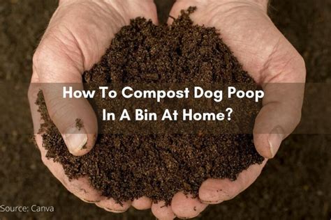 how to turn dog poop into fertilizer|How to Compost Dog Poop: 7 Steps (with Pictures) .